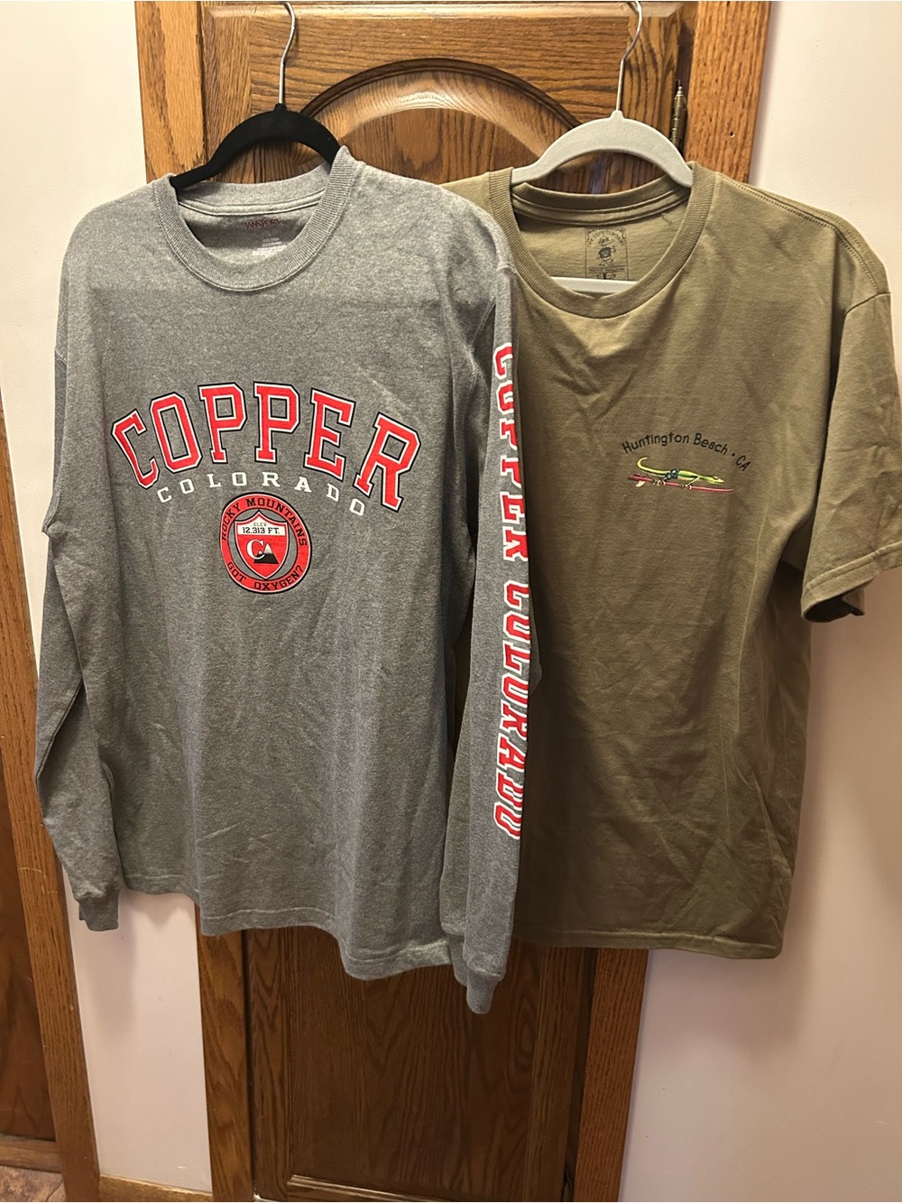 Lot of 2 ~ Size Large: Long Sleeve & Short Sleeve Men’s Tee, Size Large